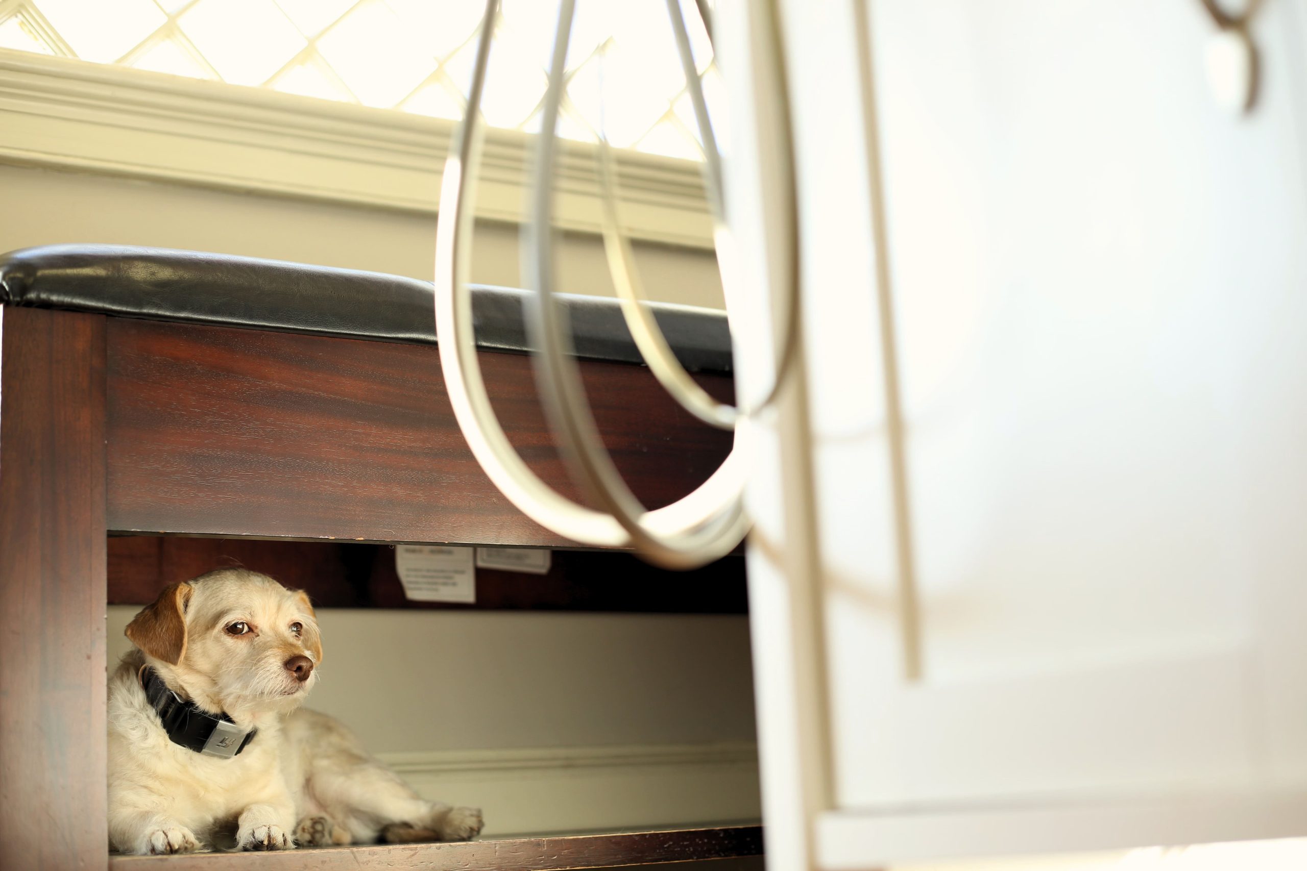 We Want to Hear From You